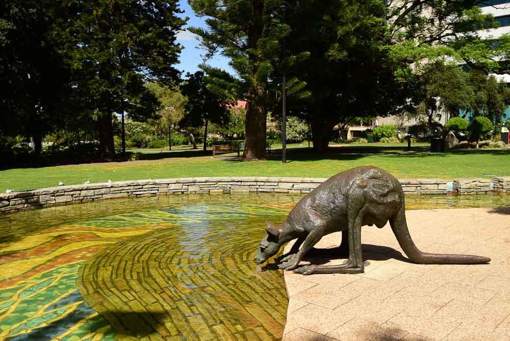 Kangaroos can still be spotted in downtown Perth.