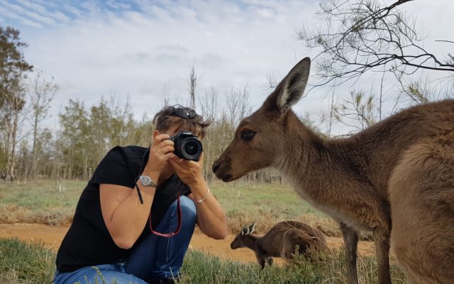 Wildflower, Nature and Wildlife Tour