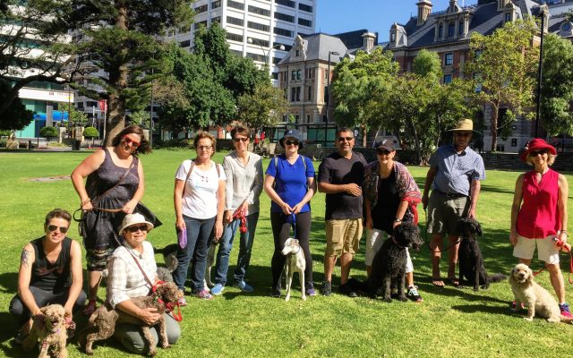Four Paws & a Heartbeat – Walking Tour with dogs