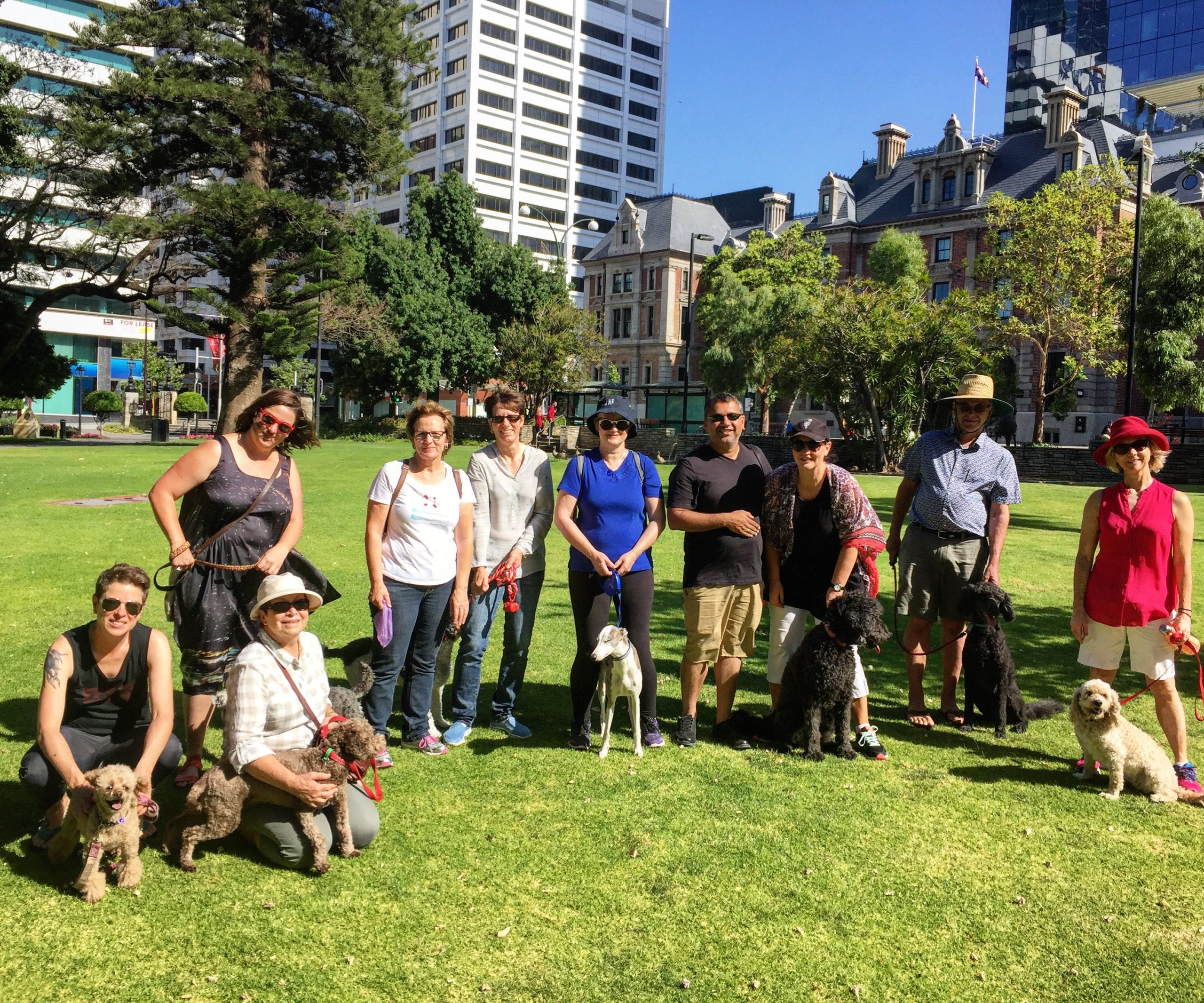 Four Paws & a Heartbeat – Walking Tour with dogs